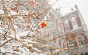 Курс долара впав нижче психологічного рубежу