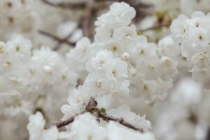 Гороскоп для знаків зодіаку на 25 квітня 2025 року