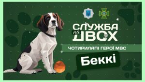 🐶 Беккі – носик, що виявляє вибухівку на кордоні | Служба на двох