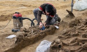 У Відні знайшли масове поховання римських воїнів віком 2000 років