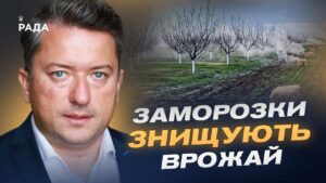 Заморозки ЗНИЩУЮТЬ врожай: що буде з цінами на фрукти та зерно?  | Дмитро Соломчук