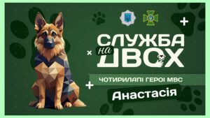 🛂 АНАСТАСІЯ – майбутня чотирилапа прикордонниця | Служба на двох