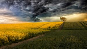 Новини світу - Китай створює "штучні дощі" над посушливими регіонами