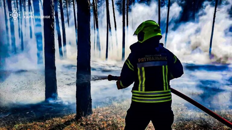 Рятувальники ліквідували п’ять лісових пожеж на Харківщині