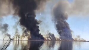 У Краснодарському краї РФ чотири дні горять плавні