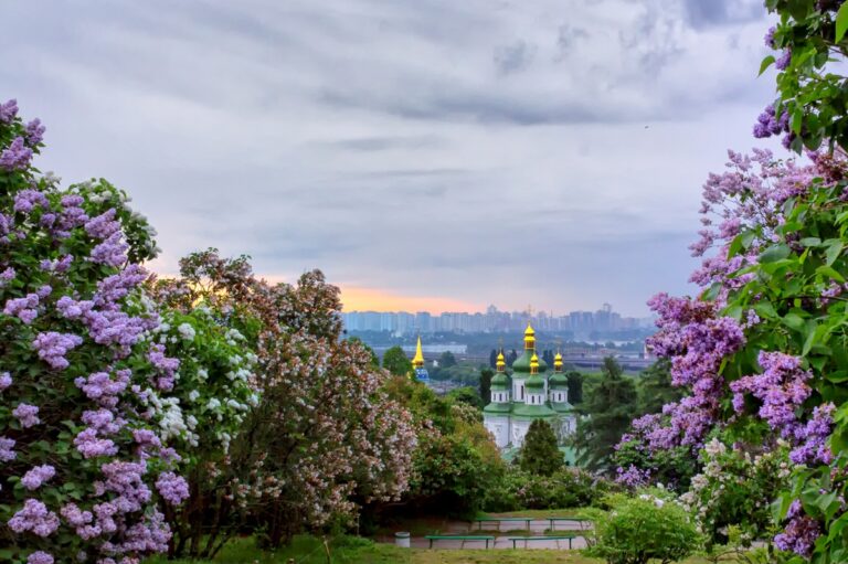 Україну охоплять дощі й заморозки