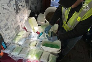 В Україні знешкодили сім наркоугруповань за добу