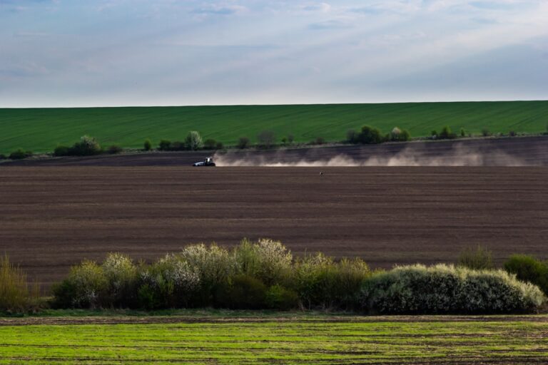 Весняна сівба: аграрії виконали 76% плану