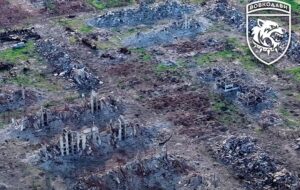 Військові показали, як виглядає Вовчанськ
