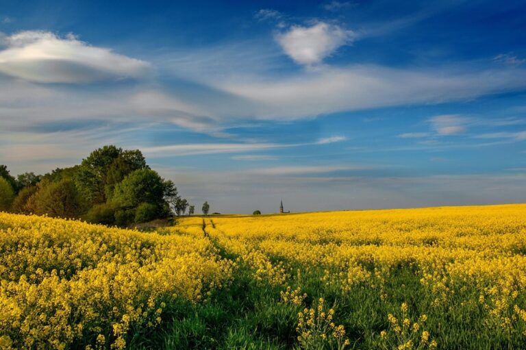 Гороскоп для всіх знаків зодіаку на 12 червня 2025 року