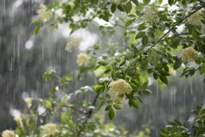 Короткочасні дощі охоплять більшість регіонів на вихідні