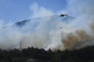 Лісові пожежі у Туреччині спричинили масову евакуацію населення