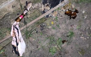 На Київщині чоловік кинув коктейль Молотова в будинок односельця