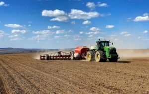 В Україні засіяно 5,6 млн га зернових культур – Шмигаль