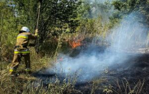 На Одещині вирують масштабні пожежі: є жертва