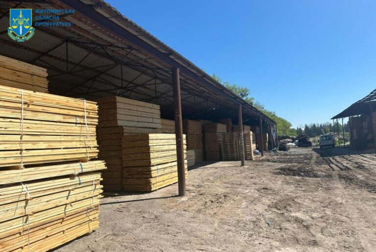 На Житомирщині судитимуть посадовців за розкрадання лісу