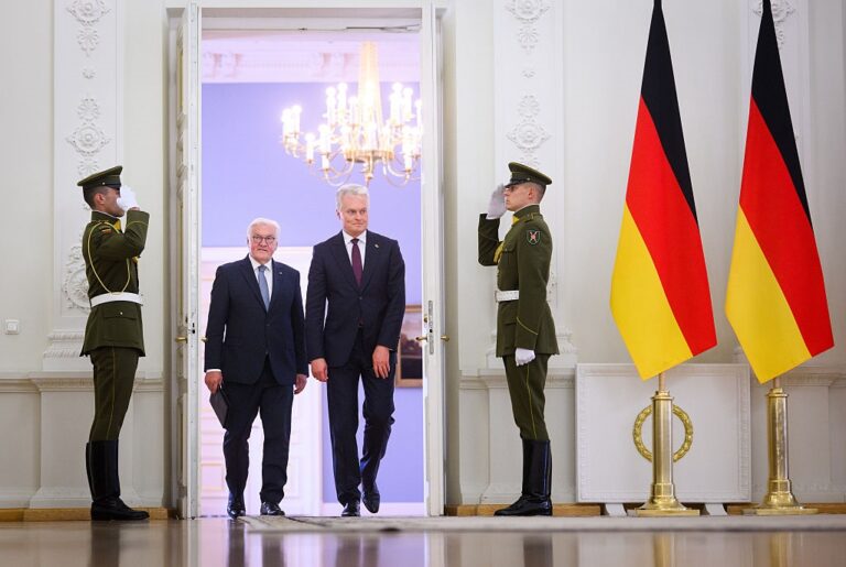 Президенти Литви і Німеччини обговорили підтримку України та тиск на Росію