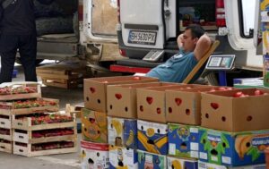 Без категорії - Сезон заготівлі на зиму: чи подешевшають овочі та фрукти