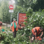 У Києві через негоду постраждали п’ятеро людей