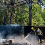 У Києві сталася пожежа у парку динозаврів