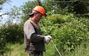 У шести областях відключення світла – Укренерго