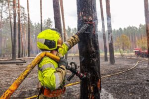 На Харківщині ліквідували масштабну лісову пожежі
