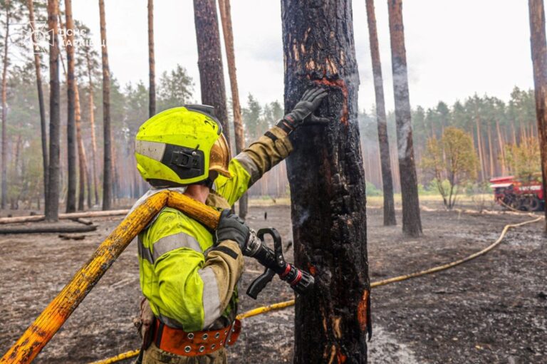 На Харківщині ліквідували масштабну лісову пожежі