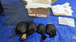 У США затримали чоловіка, який хотів вивезти понад 850 рідкісних черепах