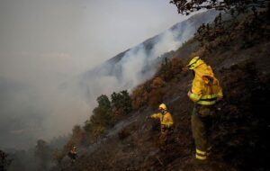 В Іспанії через численні пожежі вигоріла площа розміром, як острів Майорка