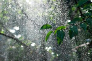 В Україні прогнозують суху та теплу погоду