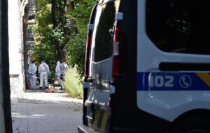 Вбивство Парубія: оприлюднено деталі розслідування