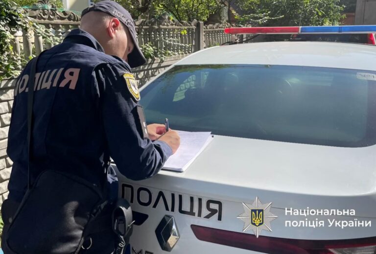 На Прикарпатті водій авто в’їхав в отару овець