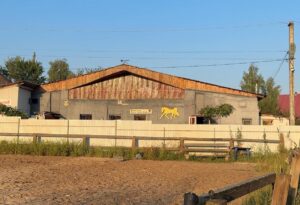 Росіяни вдарили по кінному клубу на Київщині