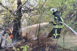 Рятувальники другу добу гасять пожежу на Хортиці