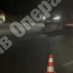 Під Києвом авто збило лося