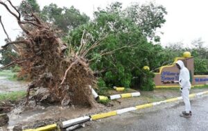 Новини світу - Ураган Мелісса забрав життя майже 50 людей на Ямайці та Гаїті