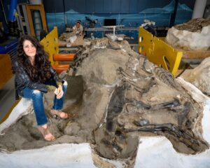 Вчені відкрили новий малий вид тиранозавра