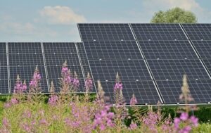 Відновлювана енергія у світі вперше обігнала вугілля за обсягом генерації