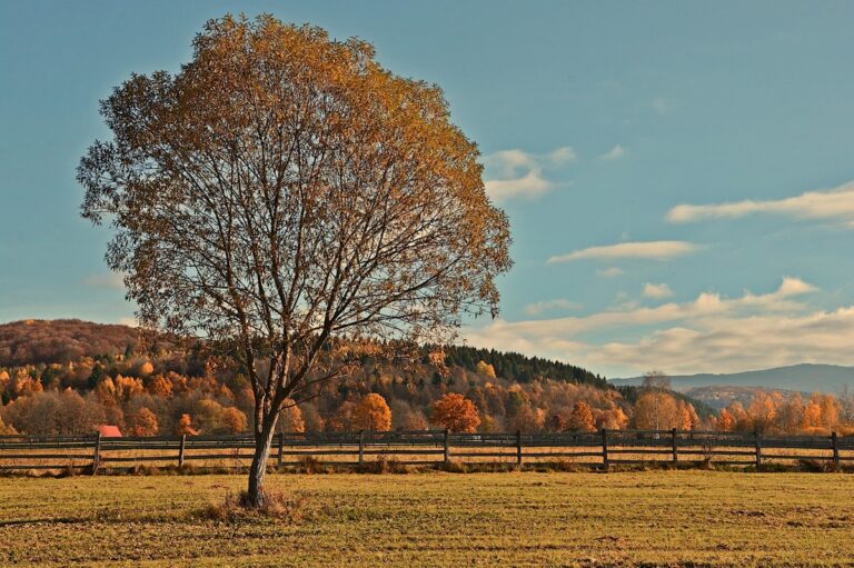 Гороскоп для всіх знаків зодіаку на вихідні 8-9 листопада 2025 року