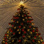 У Києві почали встановлювати головну ялинку країни