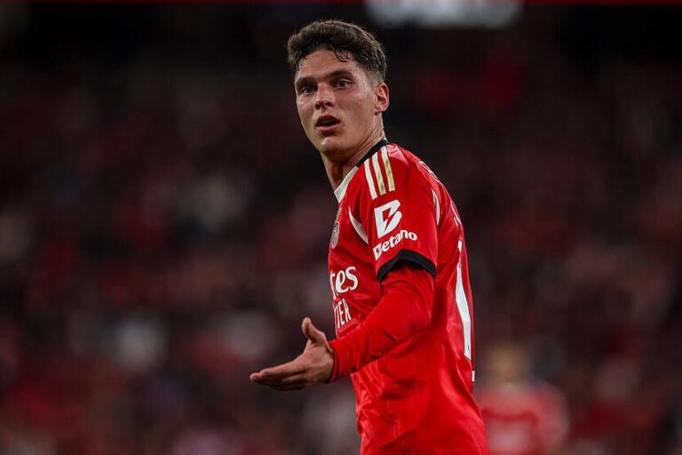 Українець ризикує пропустити найближчий матч Бенфіки