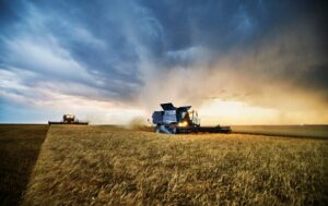 Новини України - Укргідрометцентр прогнозує хороший врожай озимих