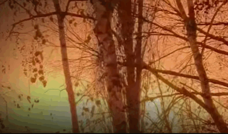 Уражено НПЗ у РФ та місце зберігання дронів Криму