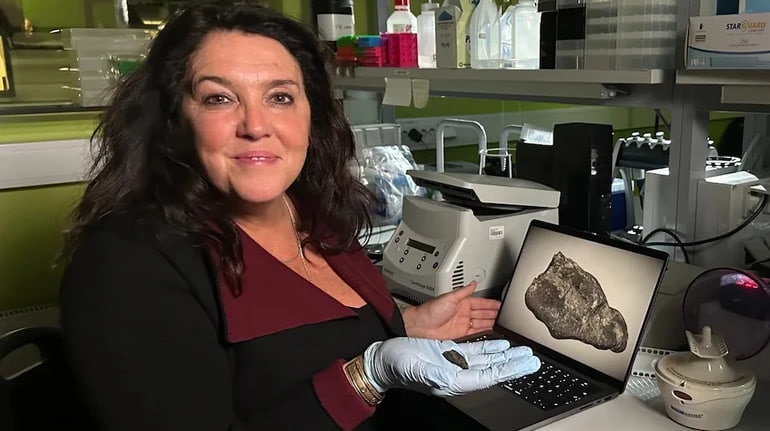 Технології - В Естонії знайшли смолу, яку жувала дівчина кам’яної доби