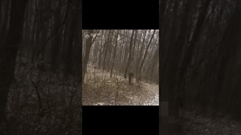 Резонансне вбивство на Харківщині: трьох підлітків засуджено до 12 років ув’язнення