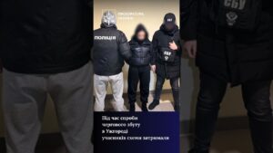 На Закарпатті викрито схему збуту кокаїну, замаскованого під пральний порошок