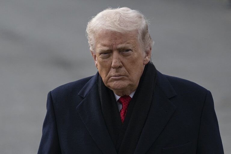 Частина країн Заходу відмовилась увійти в “Раду миру” Трампа – ЗМІ