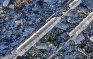 На Одещині масові пошкодження електромереж через негоду