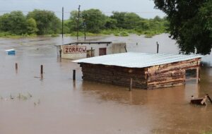 На півдні Африки понад 200 загиблих через повінь