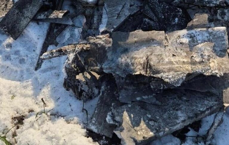 Стало відомо, скільки цілей знешкодили сили ППО